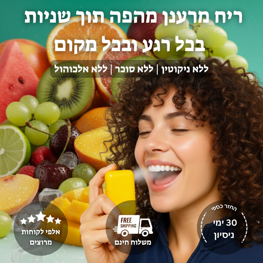 המאדה החשמלי של - pure breeze